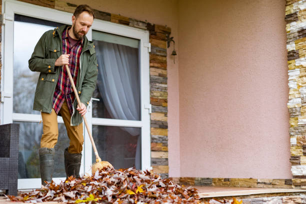 Best Basement Cleanout Services  in Brookfield, IL
